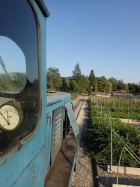 Blick aus dem Führerstand der V10C bei der Rückfahrt zum Baumschulsee [7. August 2015]