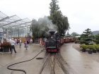 Auch bei regnerischem Wetter steht der Dampfzug der SchBB für die Gäste bereit [15. August 2015]