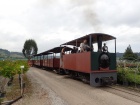 Fotohalt zwischen den Pflanzen der Zulauf AG [20. August 2016]