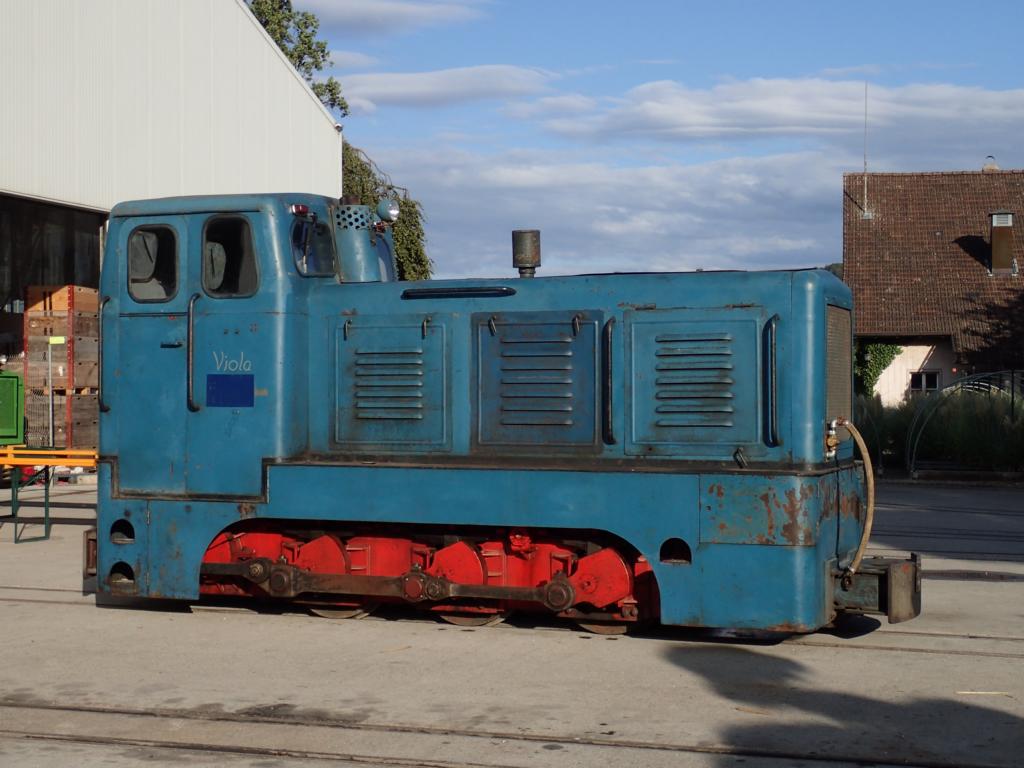 Die Viola steht in der Abendsonne vor der Werkstatt [2015]