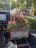 Die Prellböcke wurden durch einen Auszubildenden der Zulauf AG passend gestaltet [2. Oktober 2015]