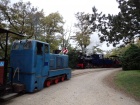 Zweizugbetrieb mit zwei blauen Lokomotiven [2015]