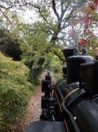 Blick auf die herbstliche gestimmte Bachstrecke [11. Oktober 2015]