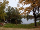 Die Vegetation rund um den Baumschulsee ist bereits im Herbstkleid [11. Oktober 2015]