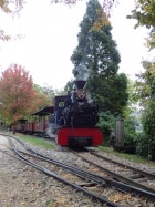 Die Sequoia hat ihren Zug ins Abstellgleis zurückgeschoben [2015]