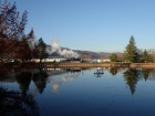 Spiegelbilder im Baumschulsee [1. Dezember 2016]