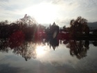 Sonne und Landschaft spiegeln sich im Baumschulsee [2. Dezember 2022]