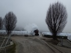 Der Dampfzug fährt durch die neblige Baumschule [5. Dezember 2015]