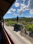 Der Fotograf wurde bei seiner Arbeit auch einmal festgehalten [15. August 2020]