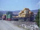 Azalea mit Güterzug für die Baumschule [1979]