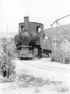 Fahrt durch die Produktionsfläche der Baumschule [1980]