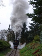 Die Pinus fährt mit Volldampf die Steigung hoch [2006]