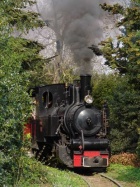 Beim Hexenhaus war die Baumschule früher waldähnlich gestaltet [2006]