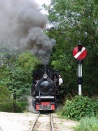 Die Pinus passiert die Hipp'sche Wendescheibe [2007]