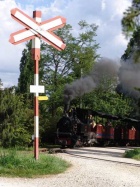 Die Pinus bei der Ausfahrt aus dem Bahnhof Baumschulsee [2007]